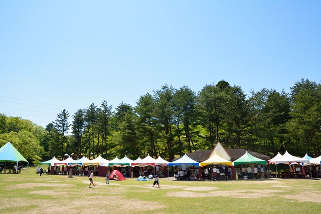 徹底解説 太閤山ランドの魅力とは おすすめスポットからプールや割引情報まで一挙紹介