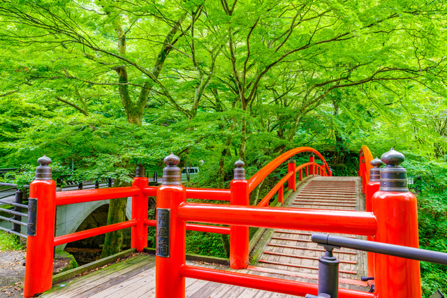 伊香保温泉の観光スポット10選 温泉と一緒に楽しみたい名所をまとめました