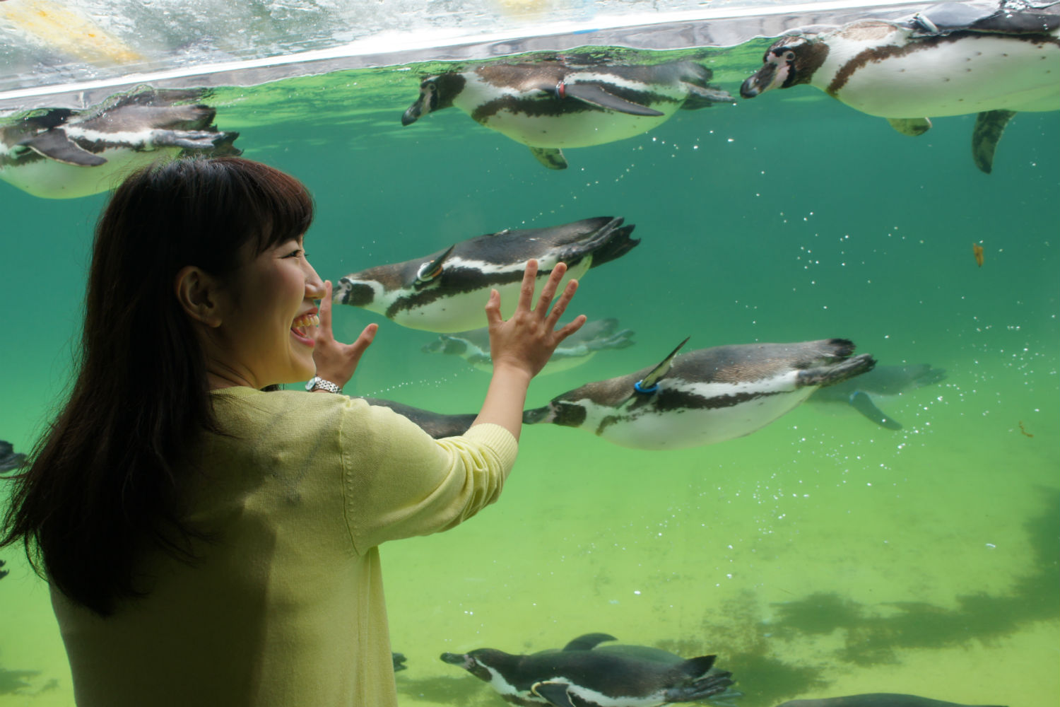 葛西臨海水族館 マグロの大水槽は必見 館内の魅力を徹底レポート