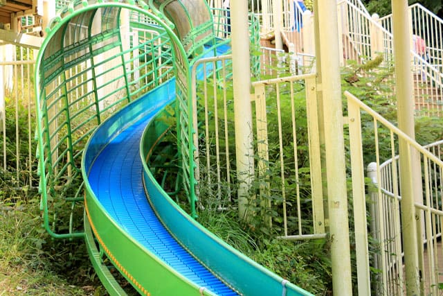 子どもの遊び場の宝庫 こども自然公園の見どころを徹底レポート