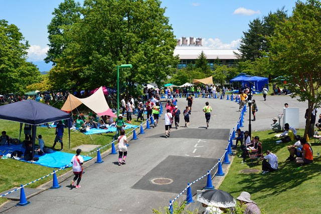 徹底解説 太閤山ランドの魅力とは おすすめスポットからプールや割引情報まで一挙紹介