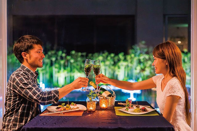 割引あり 東南植物楽園の魅力を徹底レポート イルミやデート おすすめスポットまで一挙紹介