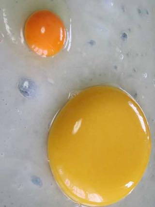 ダチョウ王国 袖ヶ浦ファーム ダチョウの卵で作る巨大目玉焼きは必見
