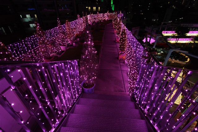 浅草花やしきへ行ってきた 混雑情報やおすすめアトラクション