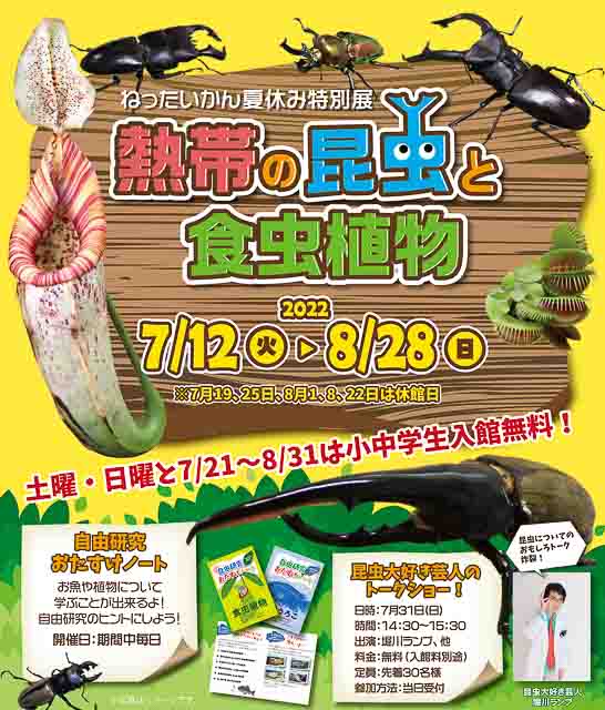 大型昆虫 食虫植物 熱帯雨林まで盛りだくさん 自由研究にぴったりな ねったいかん で夏の最後を締めくくろう 東京