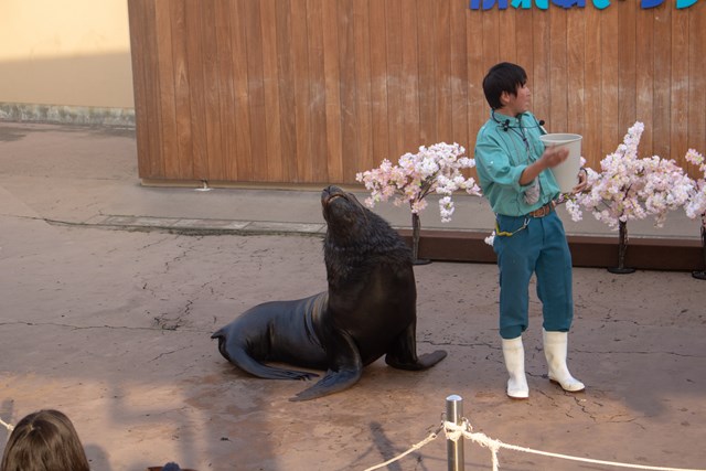徹底取材 横浜 八景島シーパラダイスの魅力 デートやファミリーなど様々な楽しみ方を紹介