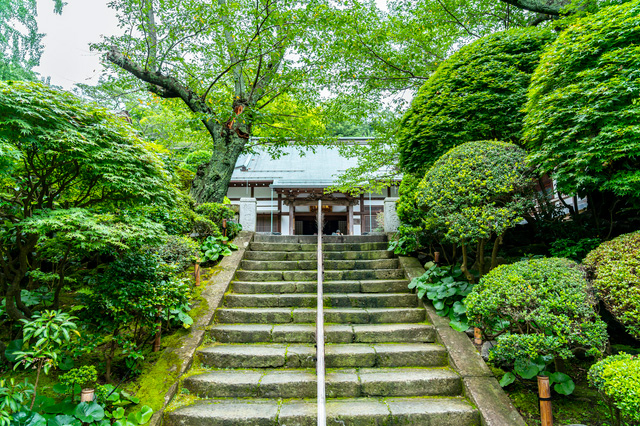 ミシュランガイドで三ツ星獲得 竹の寺で知られる鎌倉の 報国寺 で安らぎのひとときを