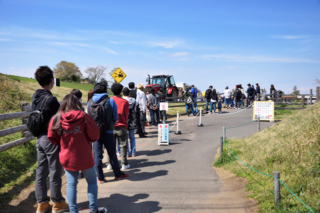 かわいい動物たちとのふれあいがいっぱい 一日中思いっきり遊べる マザー牧場 に行こう