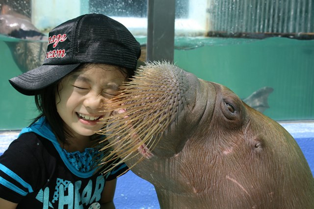 オススメ3選 三重 水族館を満喫 ペンギンやマンボウのいる人気アクアリウムを紹介