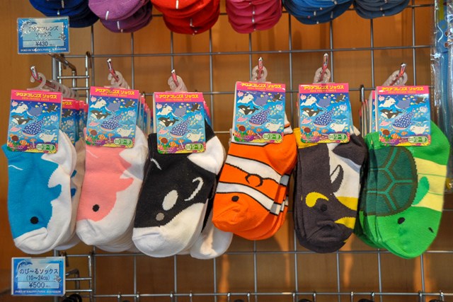 徹底取材 名古屋港水族館 アクセスから割引情報 イベント情報までご紹介 徹底取材 名古屋港水族館 アクセスから割引情報 イベント情報までご紹介
