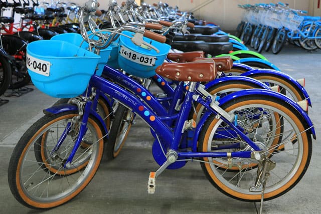 新しい発見に満ちた子どもの聖地 国営昭和記念公園の見どころを徹底レポート