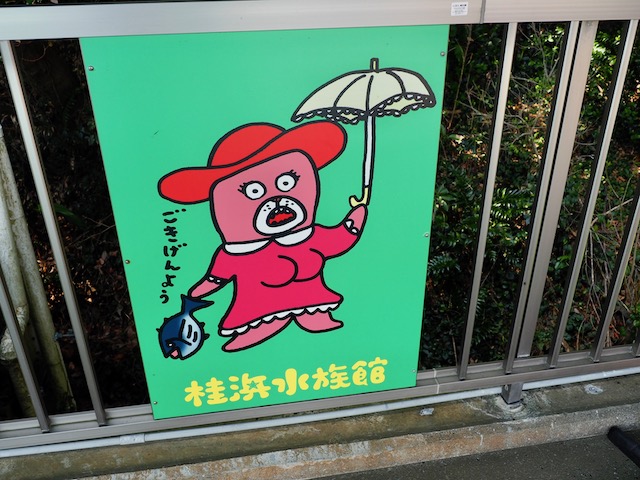 徹底取材 ユニークすぎる桂浜水族館を100倍楽しむガイド 人気スポットからお土産情報まで