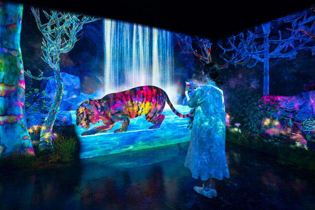 珍しい動物を捕まえてコレクション図鑑をつくる 色鮮やかな神秘の森を親子で探検してみよう