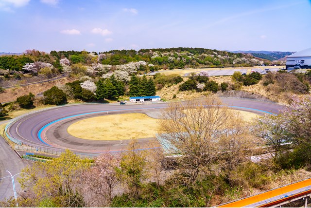 トップ画像レビュー 最も人気のある 伊豆 長岡 遊ぶ ところ