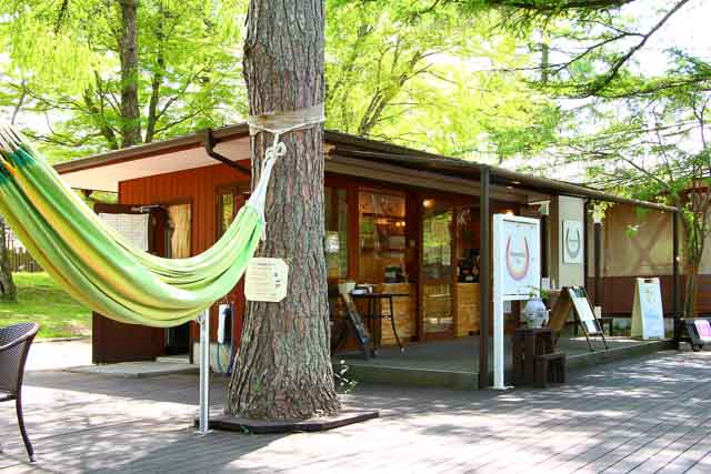 ムササビ鑑賞 パン作り 焚き火 サウナまで 山中湖で森遊びを堪能できちゃう体験がスタート