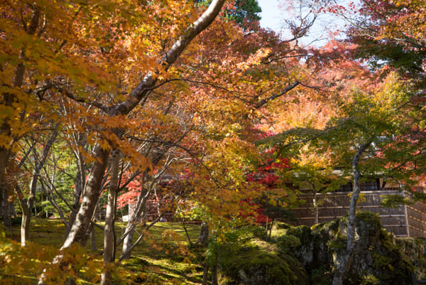 あそびのまとめ そろそろ紅葉の季節 全国の人気紅葉スポット 温泉特集