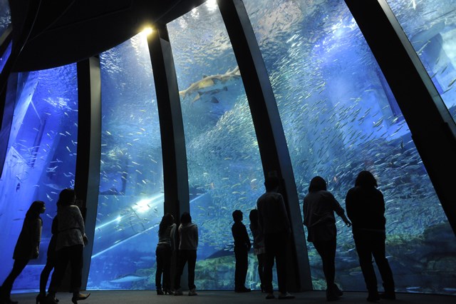 東京 水族館 おすすめ11選 デートにピッタリな夜の水族館やクーポン情報など