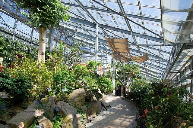 爬虫類やお花の温室などに