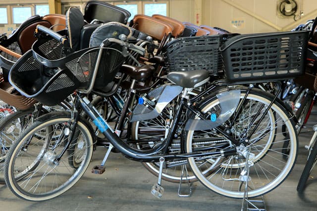 新しい発見に満ちた子どもの聖地 国営昭和記念公園の見どころを徹底レポート