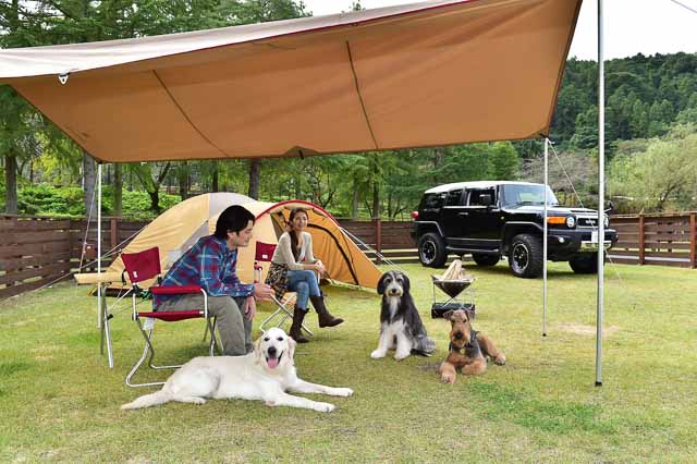 愛犬の喜ぶ顔が見たい ワンちゃんと遊べる自然豊かなキャンプ場 施設5選 極私的おでかけ百景 5