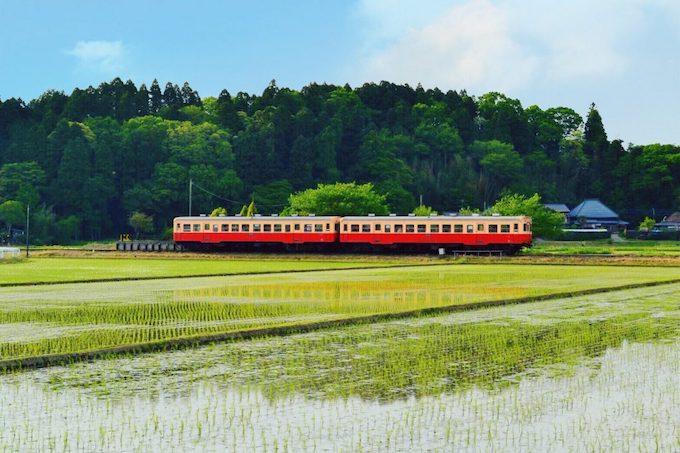 小湊鉄道でゆく 房総里山芸術祭 いちはらアート ミックス 自然を楽しむ日帰り旅 小湊鉄道でゆく 房総里山芸術祭 いちはらアート ミックス 自然を楽しむ日帰り旅