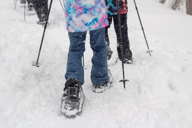 スノーシューがあれば手軽に雪の中を、自由に雪の上を歩くことが出来ます - www.vetrepro.fr