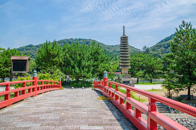 宇治の観光 グルメおすすめスポット10選 有名な神社やインスタ映えするところをご紹介