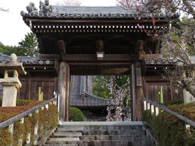 津山 観光スポット10選 桜 歴史 鉄道 グルメなど見所まとめ