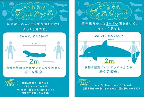 京都水族館が営業再開 ユニークな感染症対策とクラゲの新展示エリアのリニューアル内容を公開