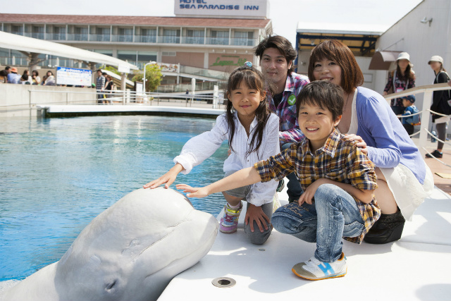 家族でもカップルでも楽しめる 神奈川のおすすめ水族館6選