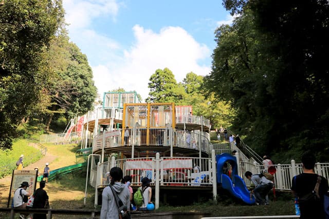 子どもの遊び場の宝庫 こども自然公園の見どころを徹底レポート
