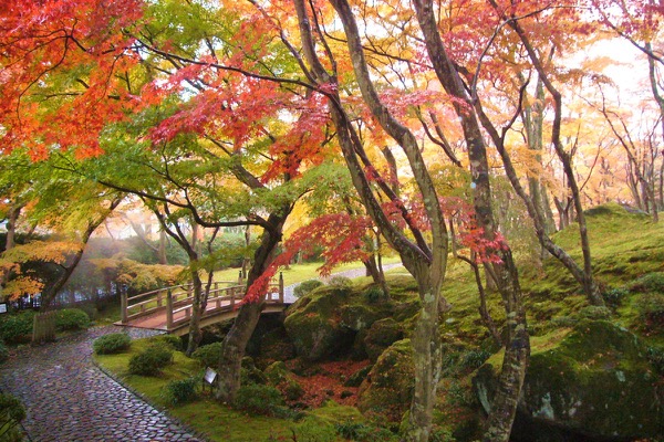 箱根美術館 の紅葉がつくる美しい庭園は必見 割引情報やアクセス情報も解説