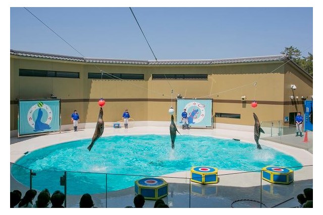 徹底取材 宮島水族館の魅力とは 人気のスナメリから料金やお土産 アクセス情報まで