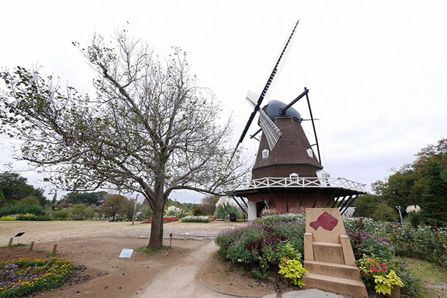 ふなばしアンデルセン公園の人気の秘密とイチ推しスポットを徹底解剖 グルメスポットや人気のお土産もご紹介