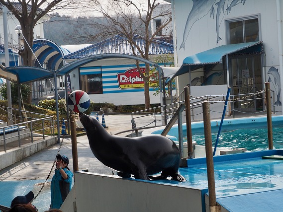 19最新版 のとじま水族館の魅力 映えスポットから割引 ランチ情報まで一挙に紹介