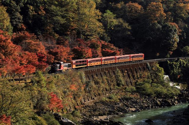 嵯峨野トロッコ列車に乗って京都の四季を楽しもう