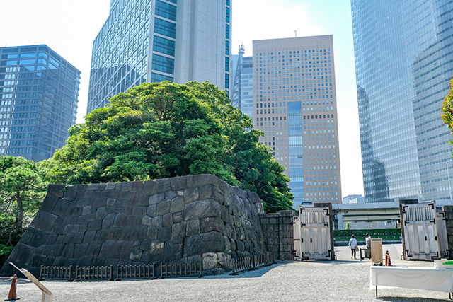 浜離宮恩賜庭園の見どころや歴史 最新の営業情報まで徹底取材 21年版