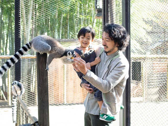 朝食をキリンと一緒に 動物園ステイ という初めての体験が叶うグランピング施設いかが