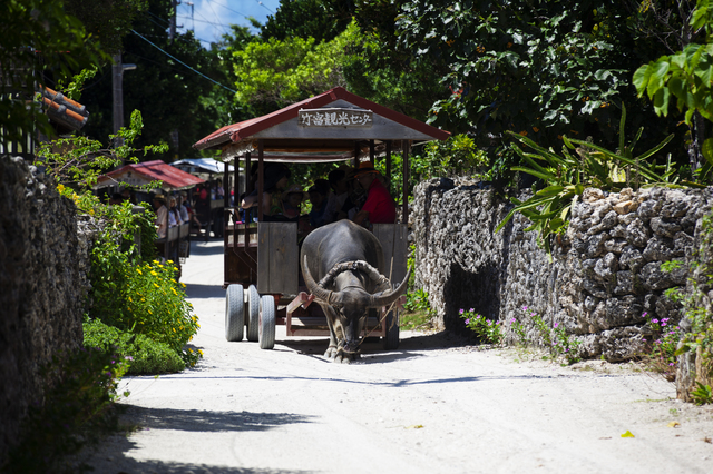 竹富島のおすすめ観光スポット14選 名所や島内の楽しみ方を紹介