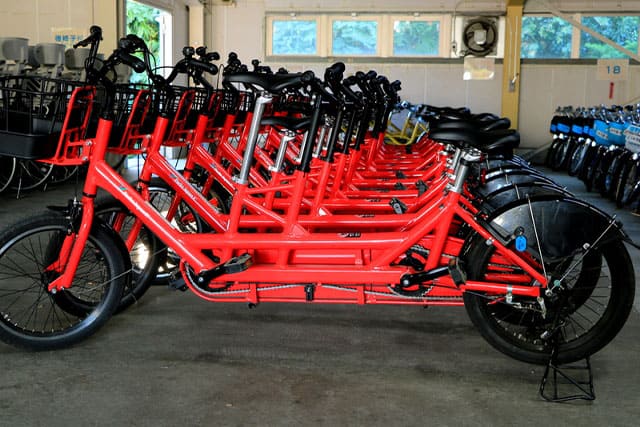 新しい発見に満ちた子どもの聖地 国営昭和記念公園の見どころを徹底レポート