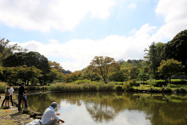 子どもの遊び場の宝庫 こども自然公園の見どころを徹底レポート