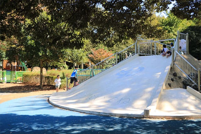 新しい発見に満ちた子どもの聖地 国営昭和記念公園の見どころを徹底レポート