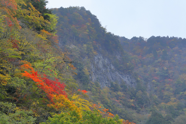 中津峡の写真