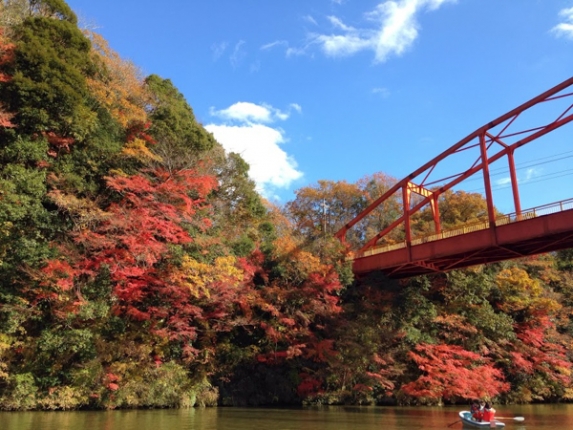 亀山湖の写真