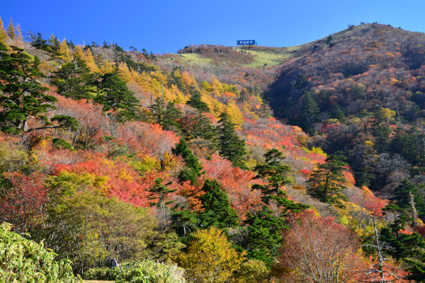 剣山の写真