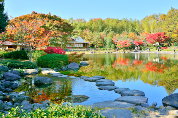 昭和記念公園の写真