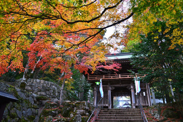 大窪寺の写真