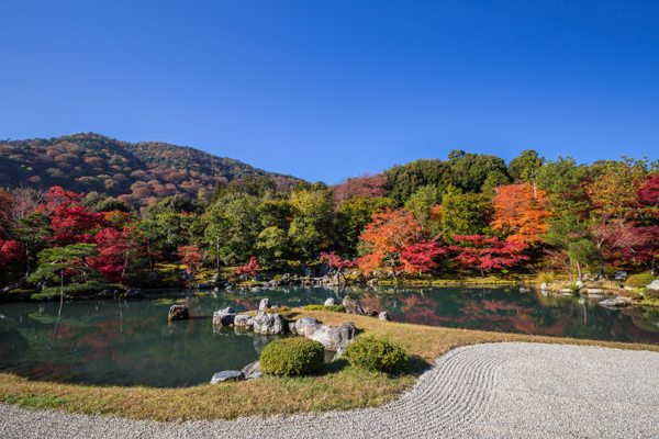 天龍寺の写真