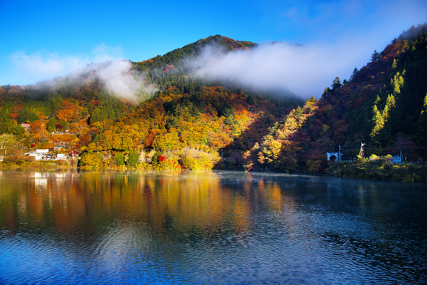奥多摩の写真