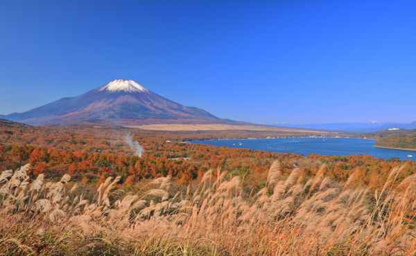 山中湖の写真